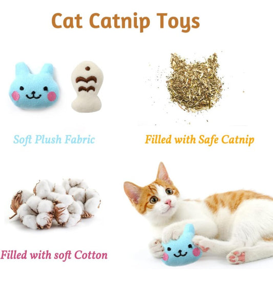 Cat Capsule - 1 or more items!